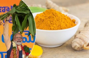 Prime Minister Narendra Modi will give certificates to over 30,000 self-help groups during his visit to Varanasi on June 18, 2024