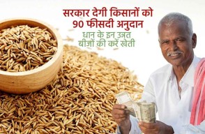 धान की खेती के लिये सरकार किसानों को 90 फीसदी अनुदान पर दे रही है धान के उन्नत बीज