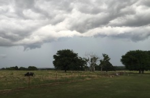 Weather Today: Rain Alert Issued for Various States Across India, Including Delhi-NCR