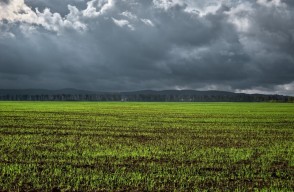 Heavy Rainfall Likely in These States Over the Next 5 Days
