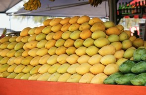 Mango Price Punjab: पंजाब में बादामी आम और अन्य किस्मों के आम का मंडी भाव (24 जून, 2024)