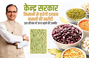 केन्द्र सरकार किसानों से करेगी दलहन फसलों की खरीदी, इस सीजन में उपज बढ़ने की उम्मीद