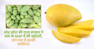 आंध्र प्रदेश की राज्य सरकार ने आम के MSP में की बढ़ोतरी, जाने क्या है इसकी खासियत