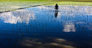 UP Weather: Heavy rainfall in these districts of UP today, know where It will rain the most