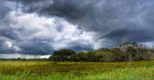 Weather Update: Heavy rainfall in northwestern and central india, weather forecast for the next 5 days
