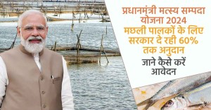प्रधानमंत्री मत्स्य सम्पदा योजना 2024, मछली पालकों के लिए सरकार दे रही 60% तक अनुदान, जाने कैसे करें आवेदन