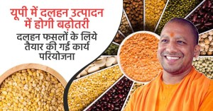 यूपी में दलहन उत्पादन में होगी बढ़ोतरी, दलहन फसलों के लिये तैयार की गई कार्य परियोजना