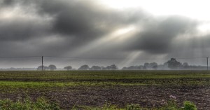 UP Rain Alert: Heavy Rain Forecast in Various Districts of Uttar Pradesh, Including Gorakhpur