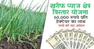 खरीफ प्याज क्षेत्र विस्तार योजना, में 60,000 रुपये प्रति हेक्टेयर का लाभ, जल्दी करें यहां आवेदन