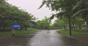 MP Rain Alert: मध्य प्रदेश के 13 जिलों में आज भारी बारिश का अलर्ट, जानिए किन-किन जिलों में होगी बारिश