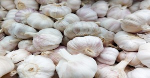 Garlic market price today (17 July, 2024) in Haryana