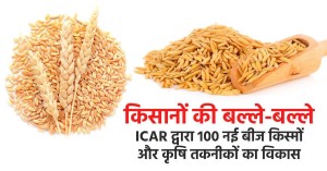 किसानों की बल्ले-बल्ले, ICAR द्वारा 100 नई बीज किस्मों और कृषि तकनीकों का विकास