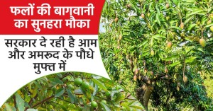 ICAR's goal is to develop 100 new seed varieties and technologies within 100 days