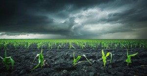 Monsoon Update: Heavy Rainfall Expected in Several States from July 18 to 21, Latest Weather Updates