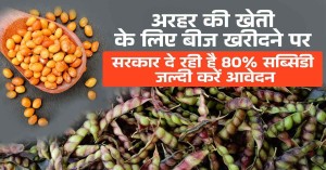 Arhar Cultivation: अरहर की खेती के लिए बीज खरीदने पर सरकार दे रही है 80% सब्सिडी, जल्दी करें आवेदन