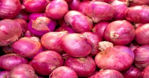 Onion market price in Madhya Pradesh (26 July, 2024)