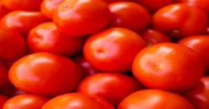 Current Tomato prices in Gujarat and Punjab (27 July, 2024)