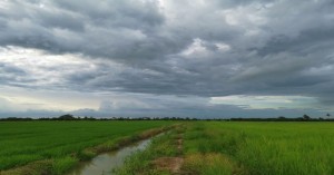 UP Rain: यूपी में बारिश की खुशखबरी, 30-31 जुलाई को कई ज़िलों में होगी झमाझम बारिश, पढ़ें IMD की रिपोर्ट