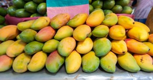 Current mango market price (29 July, 2024) in Uttar Pradesh