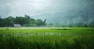 Bihar Weather Today: Monsoon active in Bihar, know which districts will experience heavy rainfall