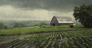 UP Weather Today: Relief from the heat, Heavy rainfall expected in these districts of UP