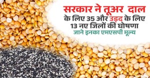 Government Announces 35 New Districts for Tur and 13 for Urad Cultivation