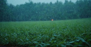 Himachal  Weather: Heavy Rainfall Expected from Himachal to Maharashtra, Nationwide Weather Forecast