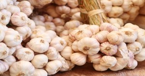 Garlic market price today in Madhya Pradesh (02 August, 2024)