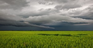 MP Weather Today: मध्य प्रदेश में अगले 3 घंटों में भारी बारिश का अलर्ट, पढ़ें IMD की रिपोर्ट