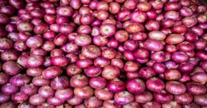 Onion Market Price Today (03 August, 2024) in Uttar Pradesh