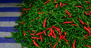 राजस्थान और गुजरात में हरी मिर्च का आज का लेटेस्ट मंडी भाव (03 अगस्त, 2024)