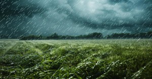 MP Rain Alert: मध्य प्रदेश में जमकर बरस रहा है पानी, औसत से करीब 20 प्रतिशत अधिक हुई बारिश