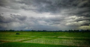 MP Weather Today: मध्य प्रदेश में आज इन जिलों में भारी बारिश की संभावना, जानें अपने शहर का हाल