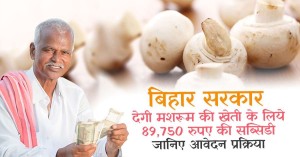 Bihar Mushroom Farming Subsidy: बिहार सरकार देगी, मशरूम की खेती के लिये 89,750 रुपए की सब्सिडी, जानिए आवेदन प्रक्रिया
