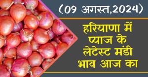 Onion Mandi Bhav: हरियाणा में प्याज के लेटेस्ट मंडी भाव आज का (09 अगस्त, 2024)