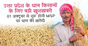 Good News for Paddy Farmers in Uttar Prades, MSP Procurement Starts from October 1st