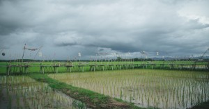 UP Weather Today: IMD has issued a heavy rain alert for several districts in Uttar Pradesh