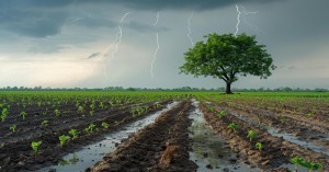 MP Rain Update: मौसम विभाग ने विदिशा, मंदसौर सहित 20 जिलों में भारी बारिश, IMD ने जारी किया अलर्ट