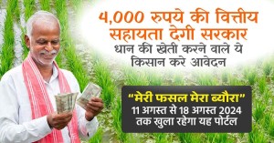 Adopt Direct Sowing of Paddy and Receive ₹4,000 per Acre in Financial Assistance, Apply Soon