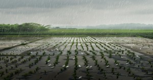 UP Weather Today: Heavy rainfall expected in 30 districts of Uttar Pradesh today, including Varanasi and Prayagraj