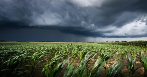 Weather Today: Heavy rainfall and flood threat across in UP and Uttarakhand, yellow alert issued by the IMD