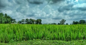 Bihar weather Today: Imd has issued a heavy rainfall alert for the next 48 hours in 11 districts of Bihar