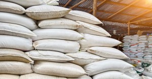 Rice Export: भारत ने मलेशिया को 2 लाख टन गैर-बासमती सफेद चावल के निर्यात की मंजूरी दी