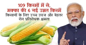 Good news for farmers, PM Modi launches 6 new advanced maize varieties with improved disease resistance