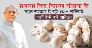 Mushroom cultivation: मशरुम किट वितरण योजना के तहत सरकार दे रही 90% सब्सिडी, जानें कैसे करें आवेदन
