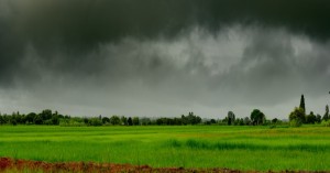 Weather today: Heavy rainfall warning for the next 7 days in Gujarat, Maharashtra, and MP