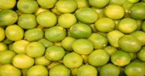 Lemon mandi bhav: उत्तर प्रदेश और पंजाब में नींबू का लेटेस्ट मंडी प्राइस जानें (03 सितम्बर, 2024)