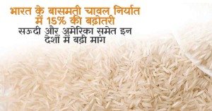 India's Basmati Rice Exports Surge by 15% Amid Rising Global Demand