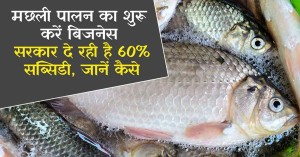 Fish Farming: मछली पालन का बिजनेस शुरू करें, सरकार दे रही है 60% सब्सिडी, जानें कैसे