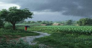 Weather Update: Heavy rainfall alert in Delhi, Madhya Pradesh, and Bihar